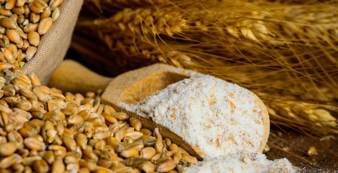 Değirmencilik Teknikerliği Eğitimi