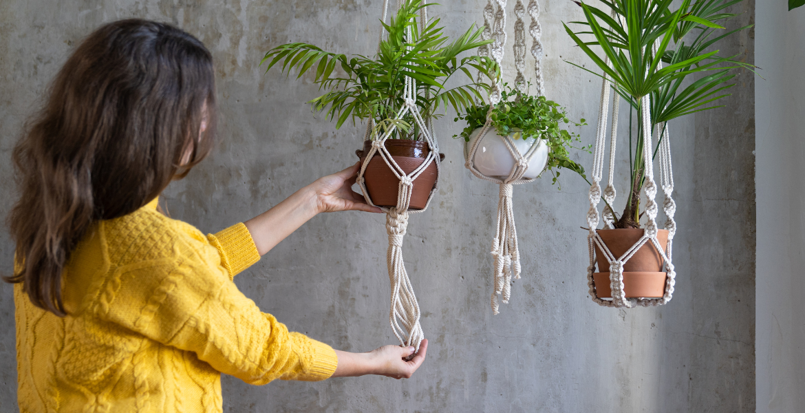 Süs Bitkileri Yetiştiriciliği ve Bakımı Eğitimi