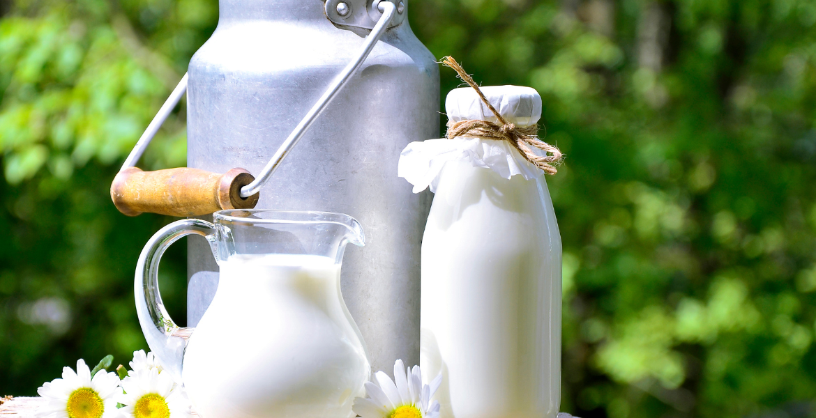 Süt İşleme ve Üretimi Eğitimi